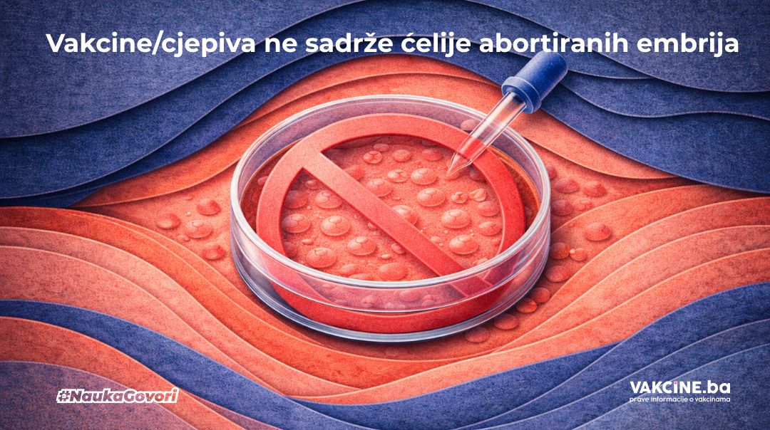 Ćelije abortiranih embrija u vakcinama: mit ili istina