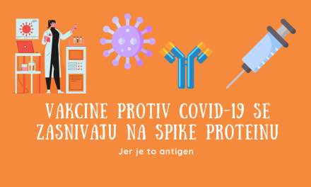 Šta je Spike protein i zašto je važan za razvoj COVID-19  vakcina?