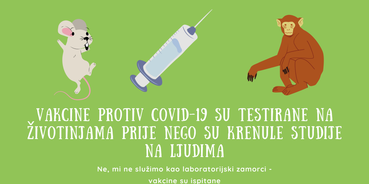Da li su vakcine protiv korone (COVID-19) testirane na životinjama?