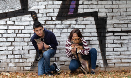 Povratak u školu: sistematski pregledi su prilika za zaštitu od difterije, tetanusa i humanog papiloma virusa (HPV)