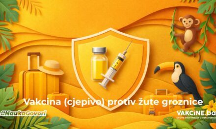 Žuta groznica: šta je, kako se prenosi i kako se možemo zaštititi vakcinacijom