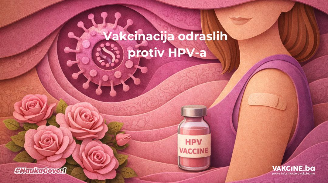 Vakcinacija odraslih protiv HPV: da li ima smisla primiti HPV vakcinu u odrasloj dobi?