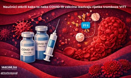 Naučnici konačno otkrili uzrok rijetkih tromboza nakon adenovirusnih vakcina protiv COVID-19