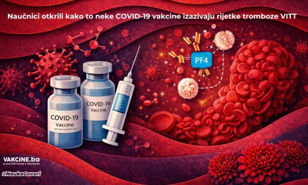 Naučnici konačno otkrili uzrok rijetkih tromboza nakon adenovirusnih vakcina protiv COVID-19