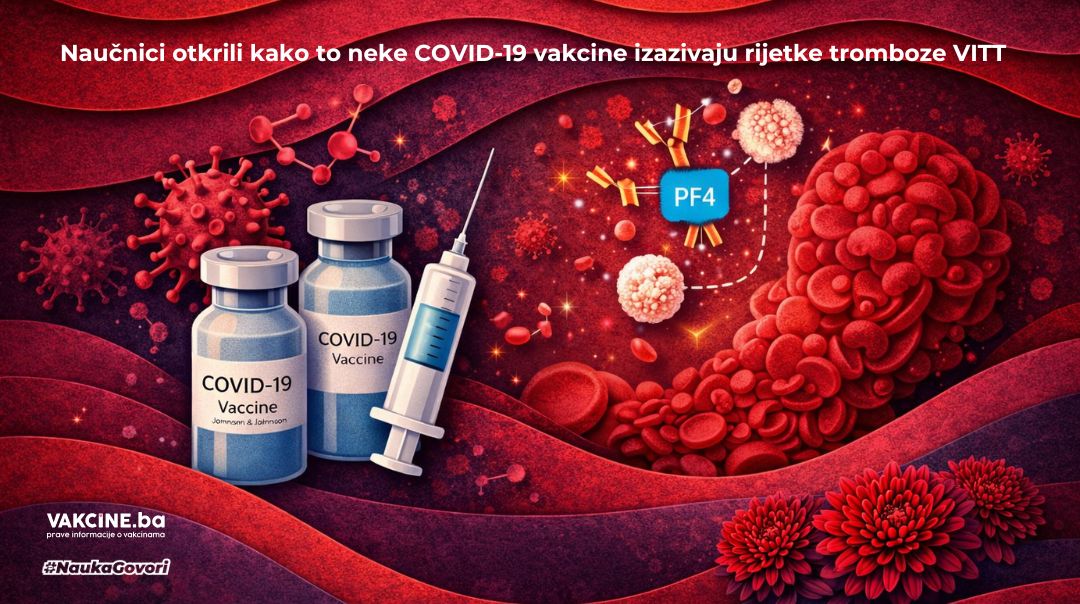 Naučnici konačno otkrili uzrok rijetkih tromboza nakon adenovirusnih vakcina protiv COVID-19