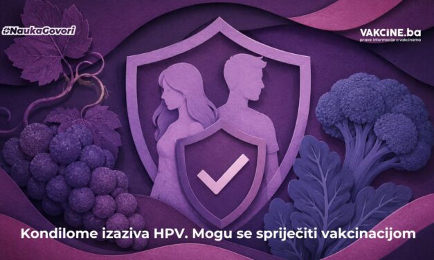 HPV vakcine su efikasne u sprječavanju kondiloma