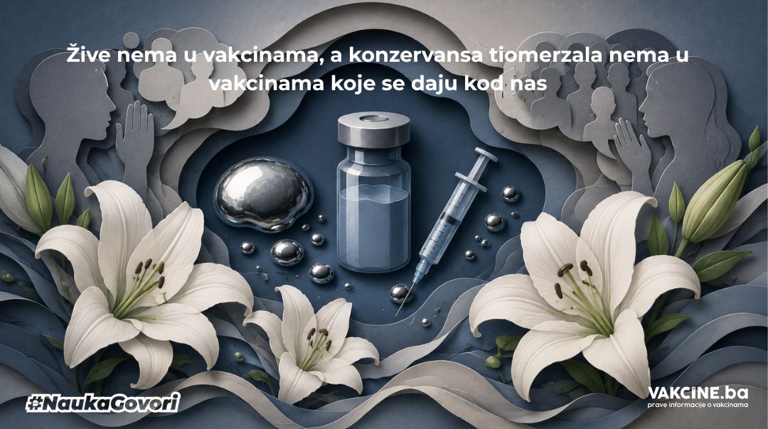 Tiomerzal (timerozal) i živa u vakcinama: šta treba znati – žive nema u vakcinama, a tiomerzala nema u vakcinama koje se daju kod nas